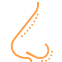 خدمات 12 جراحی بینی